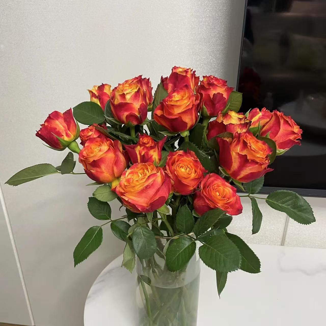 20枝火焰单头玫瑰（两单顺丰冷链或京东快递）云南鲜花基地直发