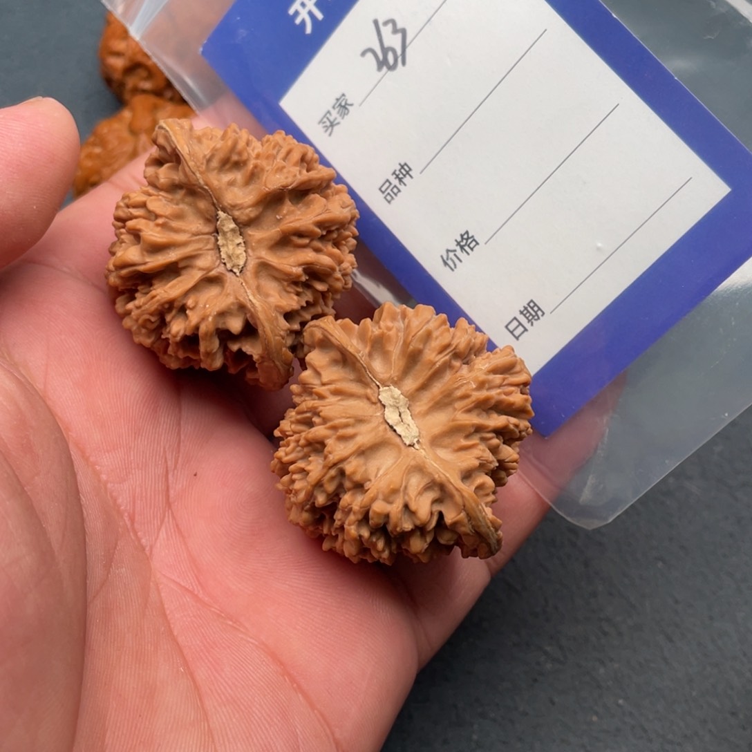 核桃把件45满天星，263号