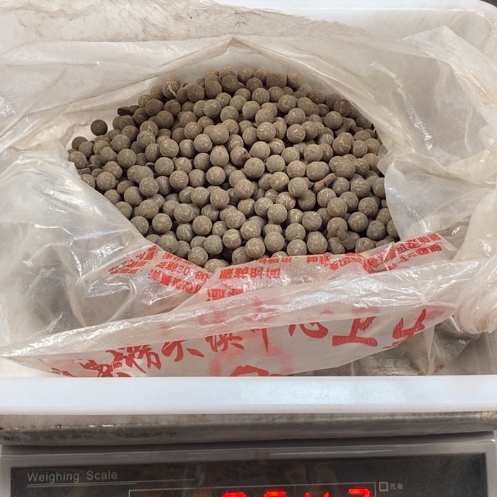 泥塑敦煌龙褐无打孔体验香850克