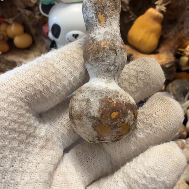 那***星666666667777778788