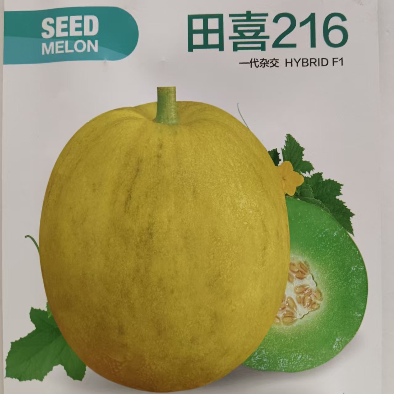 田喜216(绿肉红瓤口感好产量高)