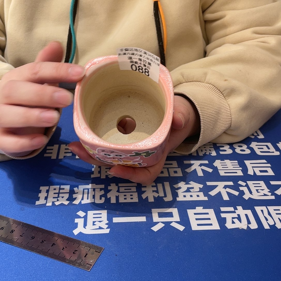 红陶马上就要开始发财啦088