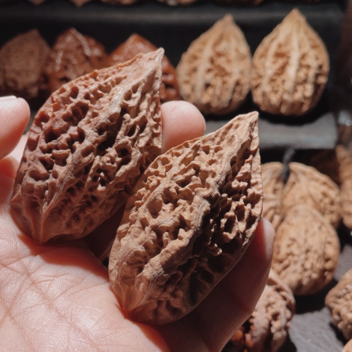 【闪购商品】文玩核桃把件东北楸子26