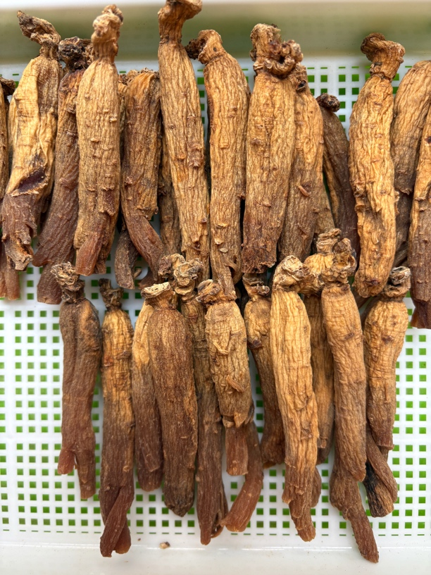 无糖集安边条红参棒 选自5-6年的人参  宠粉福利