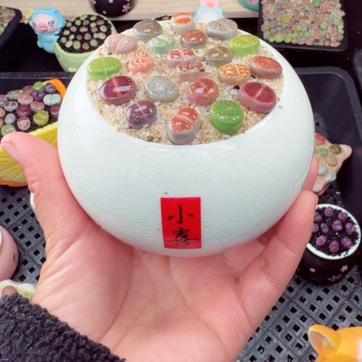 640零下地区记得拍保温箱