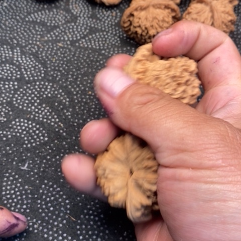 文玩核桃把件官帽5.5