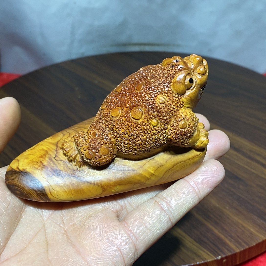 柏木（崖柏）崖柏呱呱