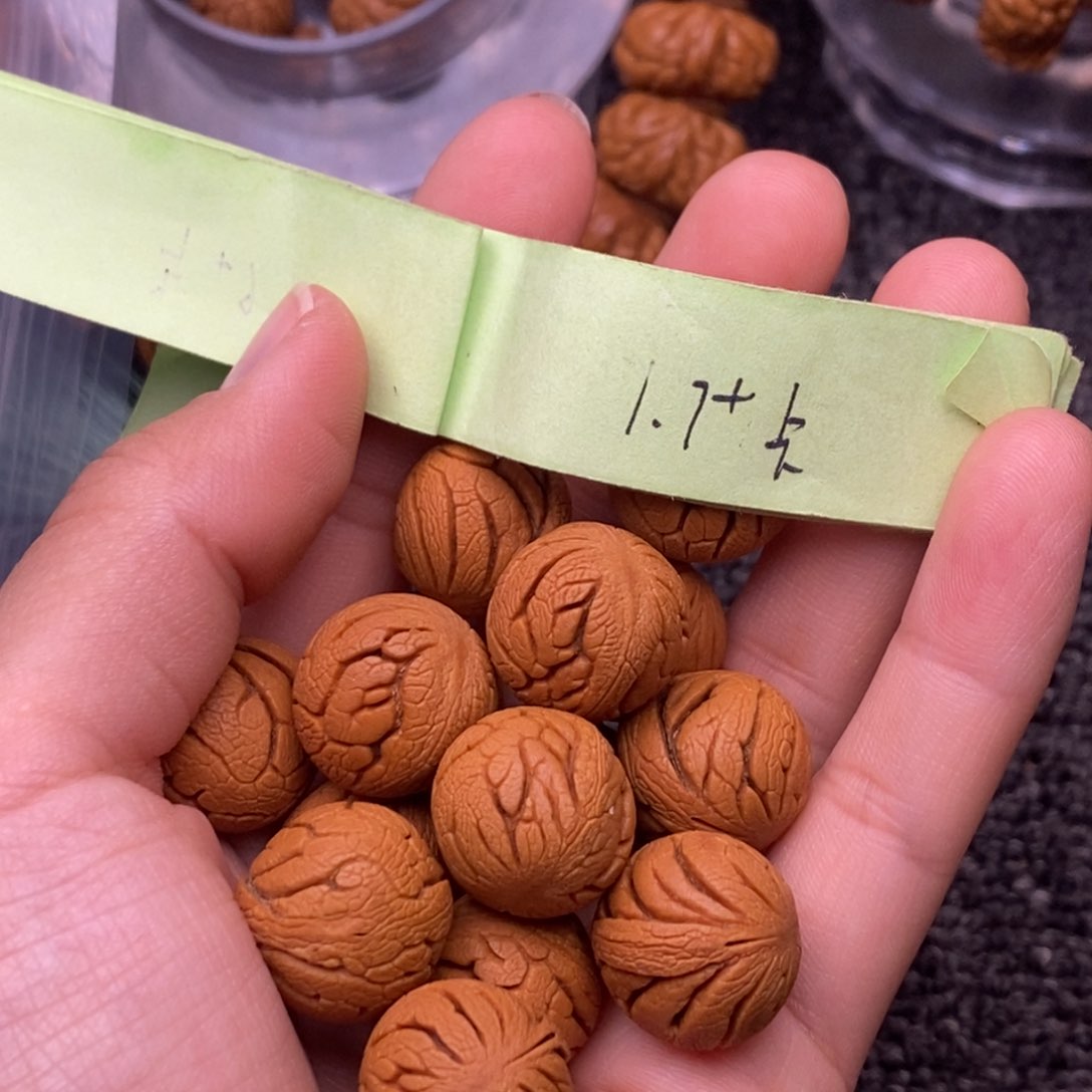 秦岭山脉龙纹桃核 15