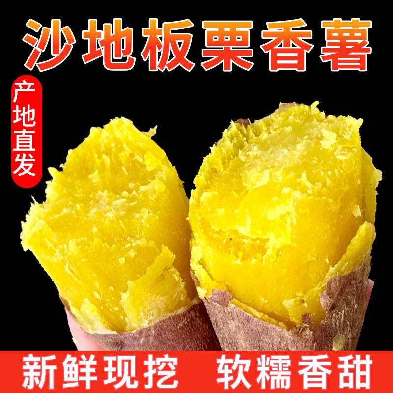 山东正宗沙地板栗红薯番薯新鲜现挖无筋无丝软糯香甜农家自种粗粮