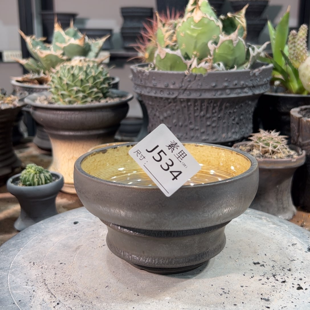 景德镇手工素里内口13.5高8.5