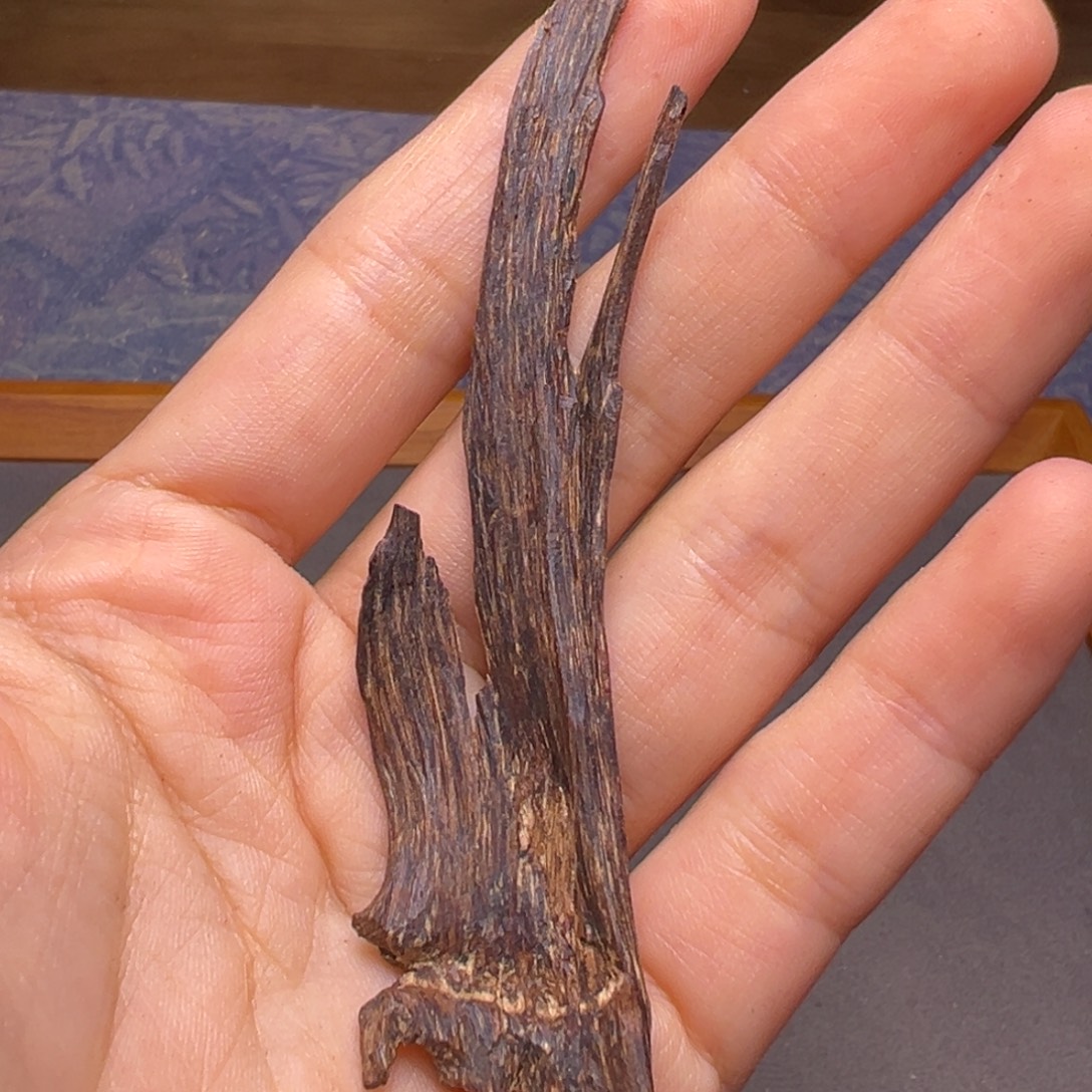 深***夜沉香沉香碎屑海南老树心2克