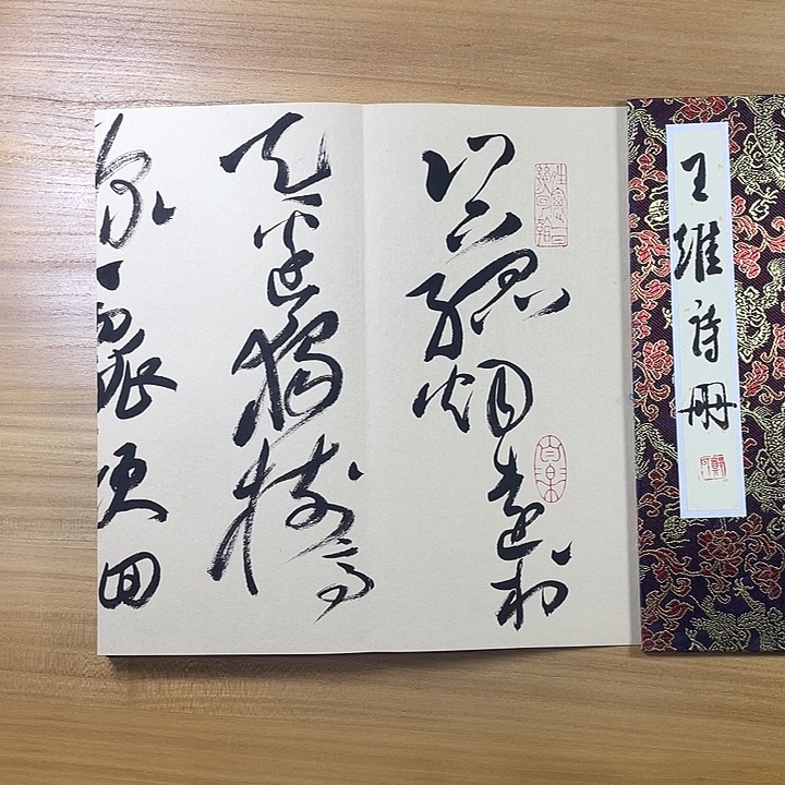 书法中书协会员作品