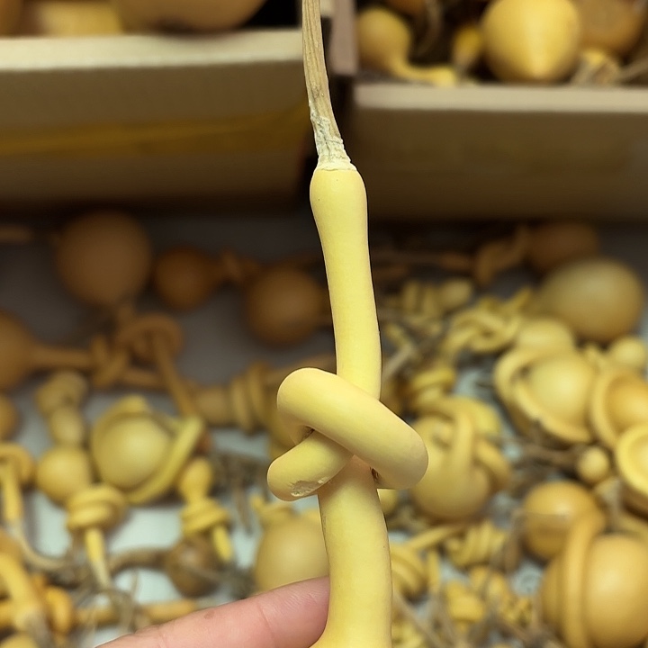 平***哥一把葫芦便宜漏了