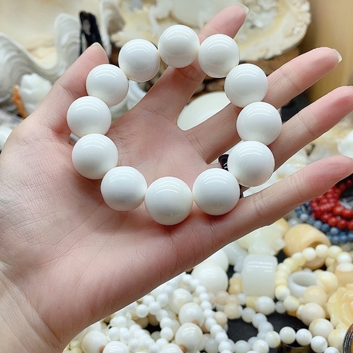 贝壳贝壳贝壳贝贝壳