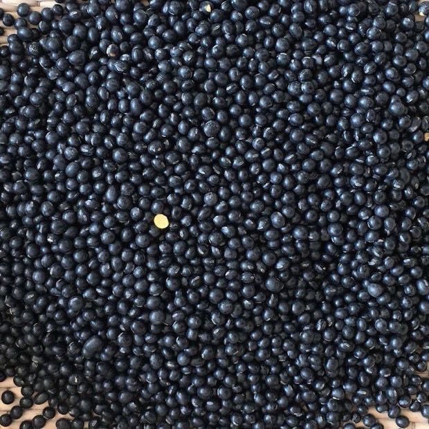 廉江特产 黑豆【顺丰包邮】