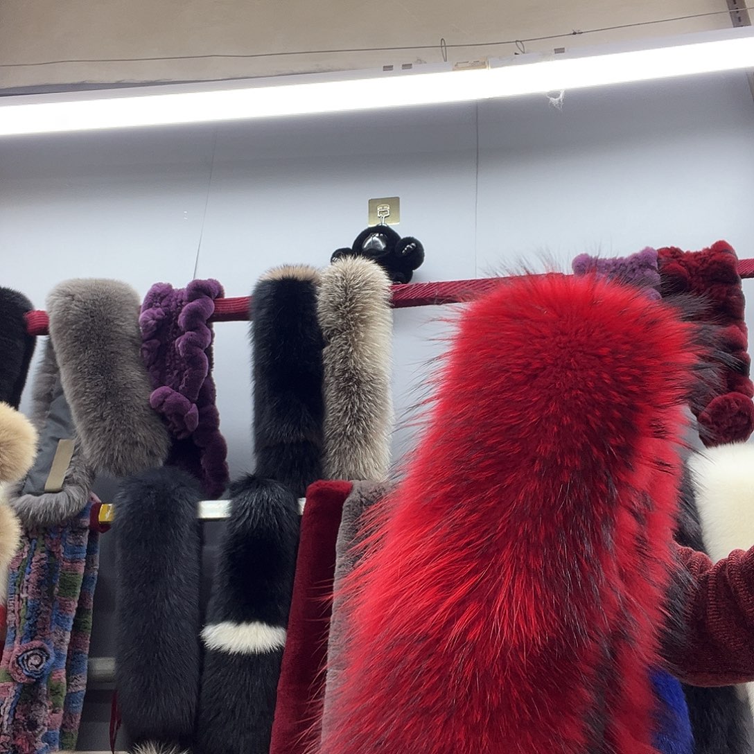 美丽诺羊毛红色貉子