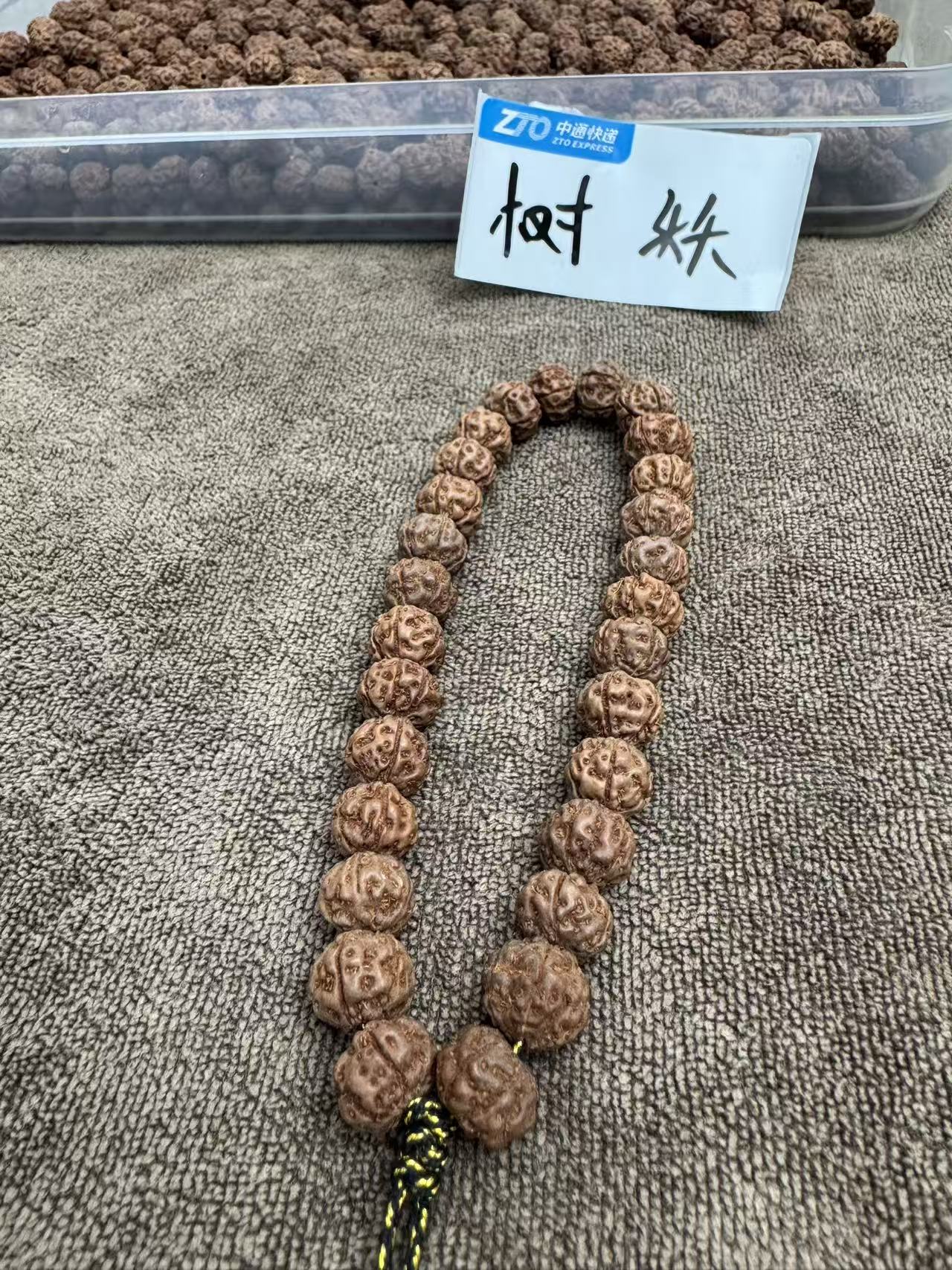 小金刚菩提，纯血树王一代树妖手持11+mm