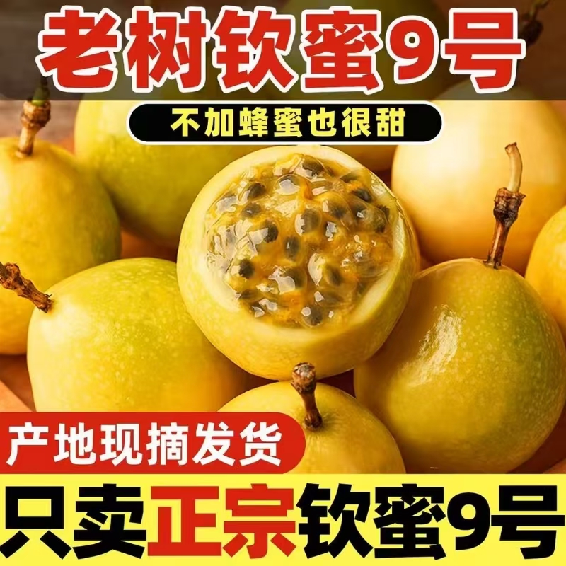 当季新鲜钦蜜9号百香果香甜多汁产地直发