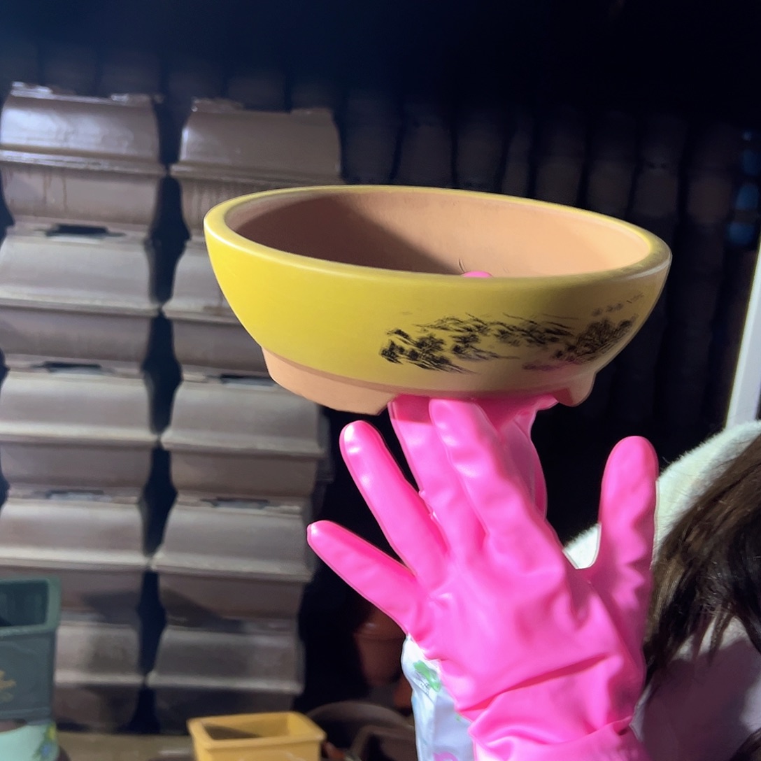 黄色江山如画小号一个花盆