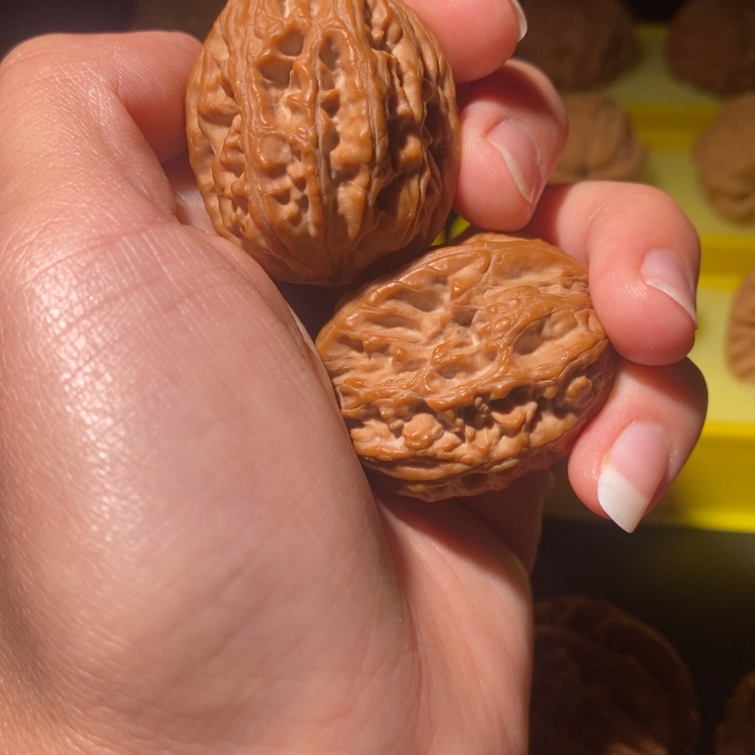 童***3吊坠文玩核桃原树