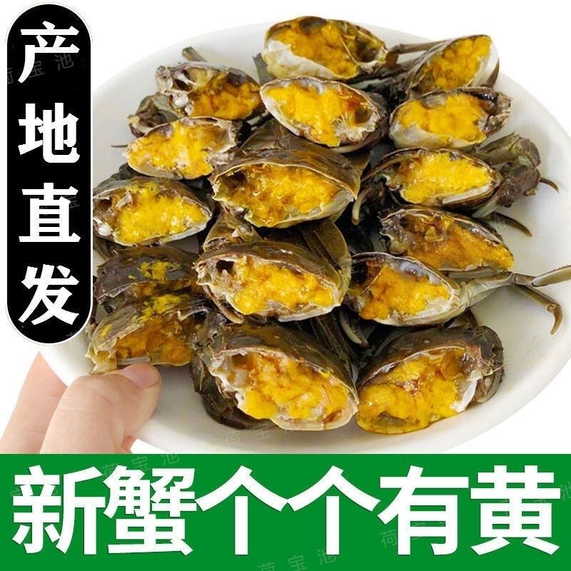 小毛爪〔黄蟹〕公蟹童子蟹0.7-1两尝鲜小青蟹