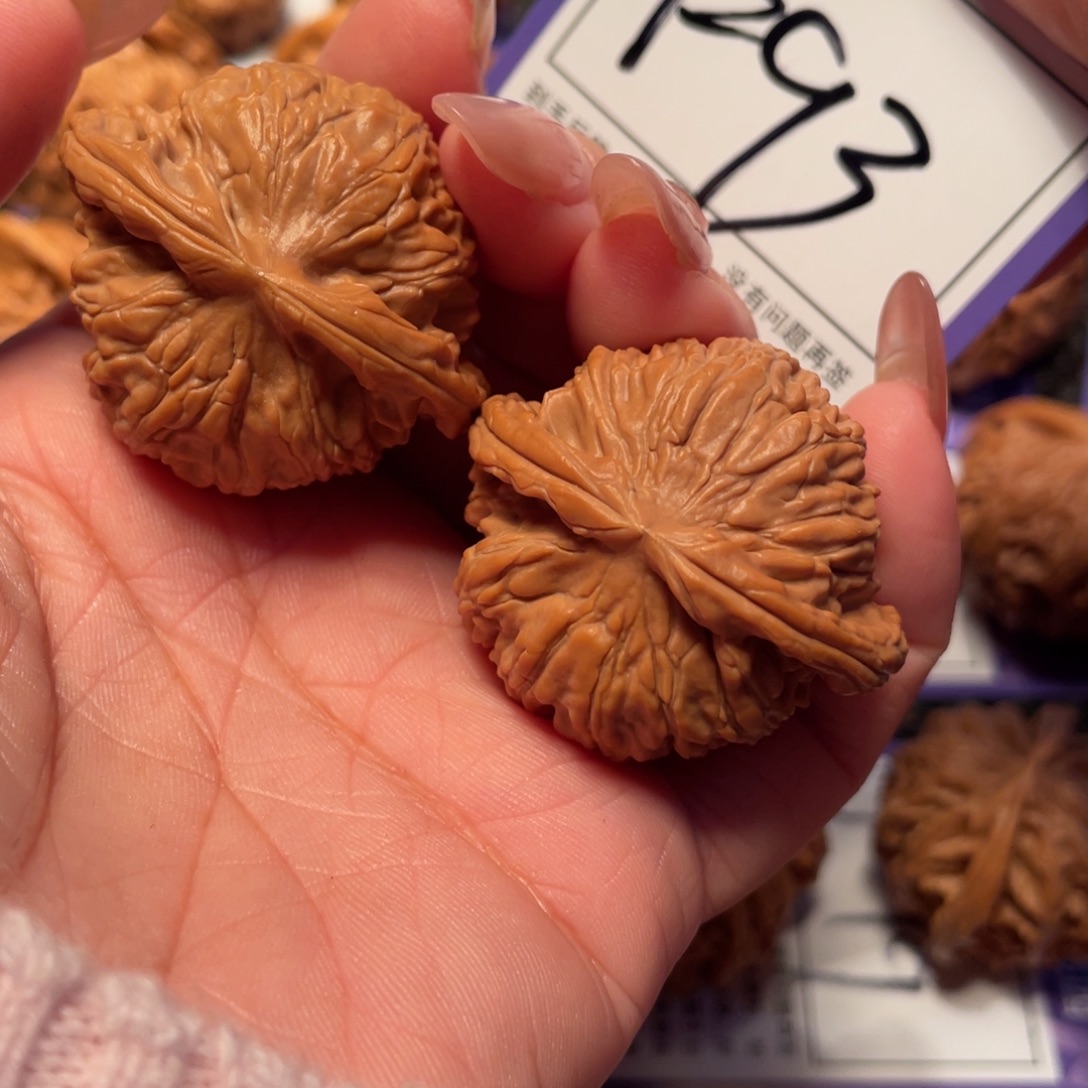 把件文玩核桃93号白狮子39