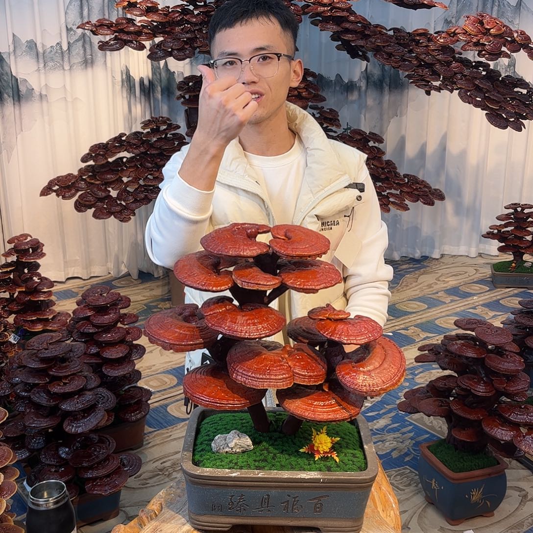 无花朵88888008888