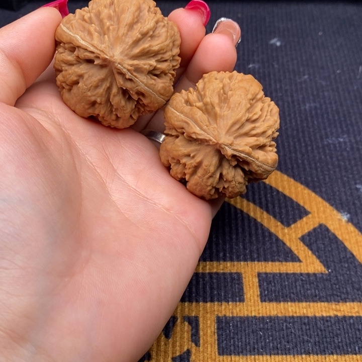 刀***峰霸王龙文玩核桃文玩