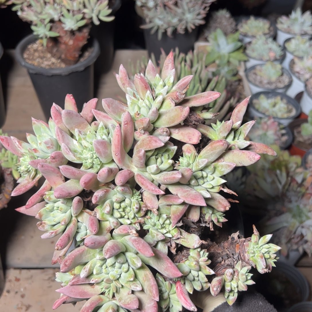 159哈哈哈哈哈哈哈哈哈哈哈