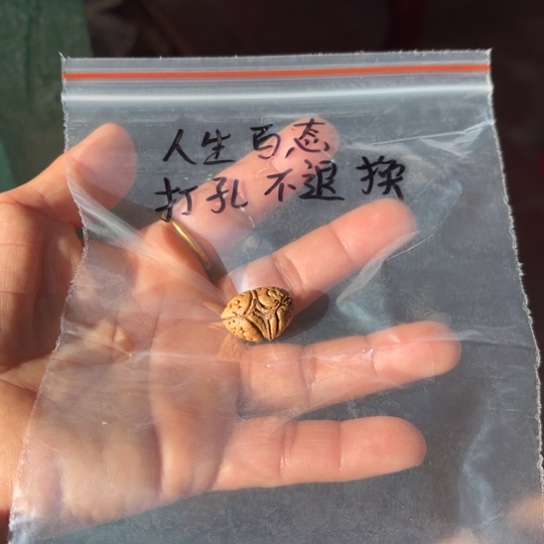 人***态木质野生桃核备云