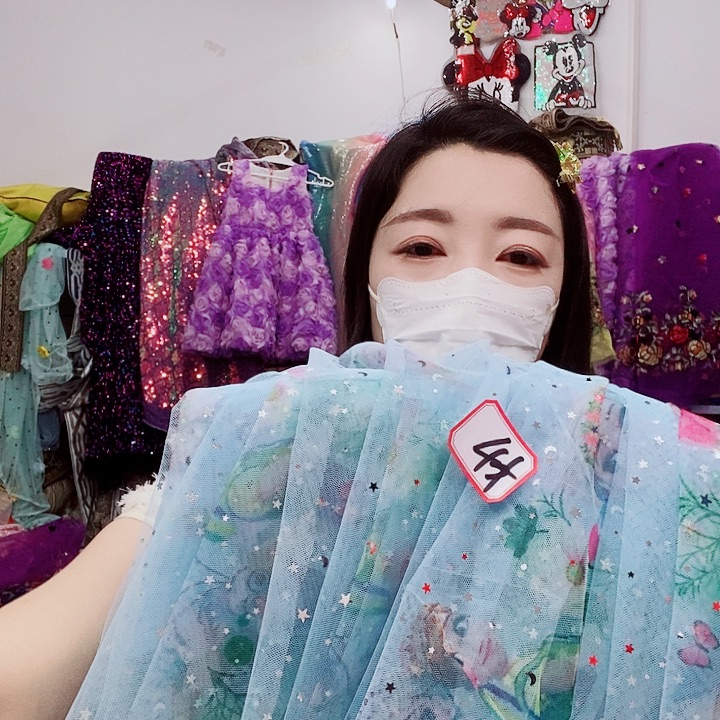 网纱蓝色艾莎网纱