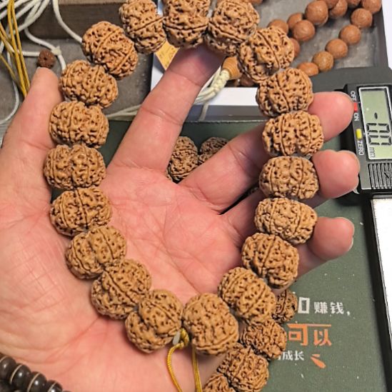 把件金刚菩提六瓣大金刚手持，23左右尺寸，原皮原色的新籽