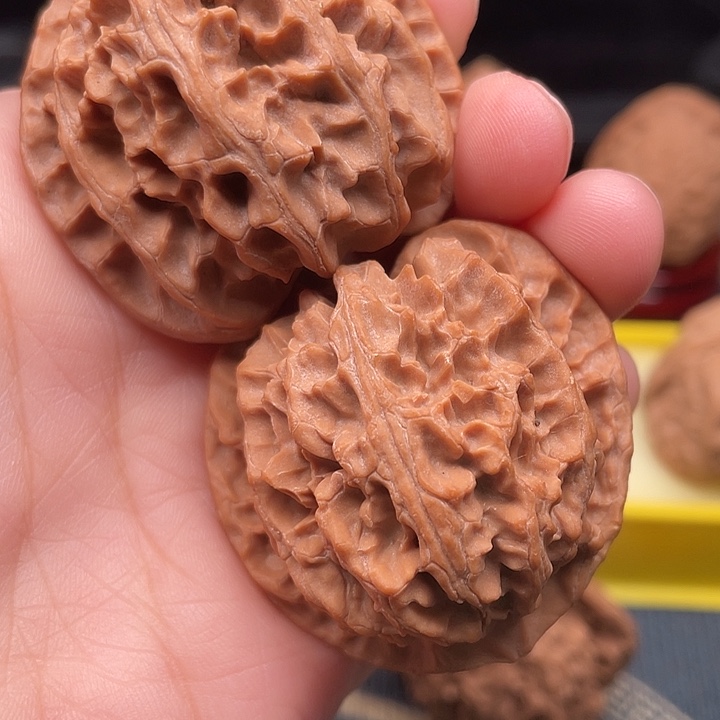 大叶紫檀（黑酸枝木类）苹果园