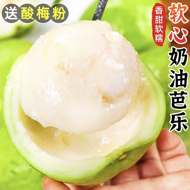 【放软食用】奶油芭乐软糯清香当季软心番石榴白心芭乐