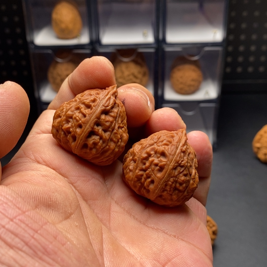 大***帅野生秋子8888888888