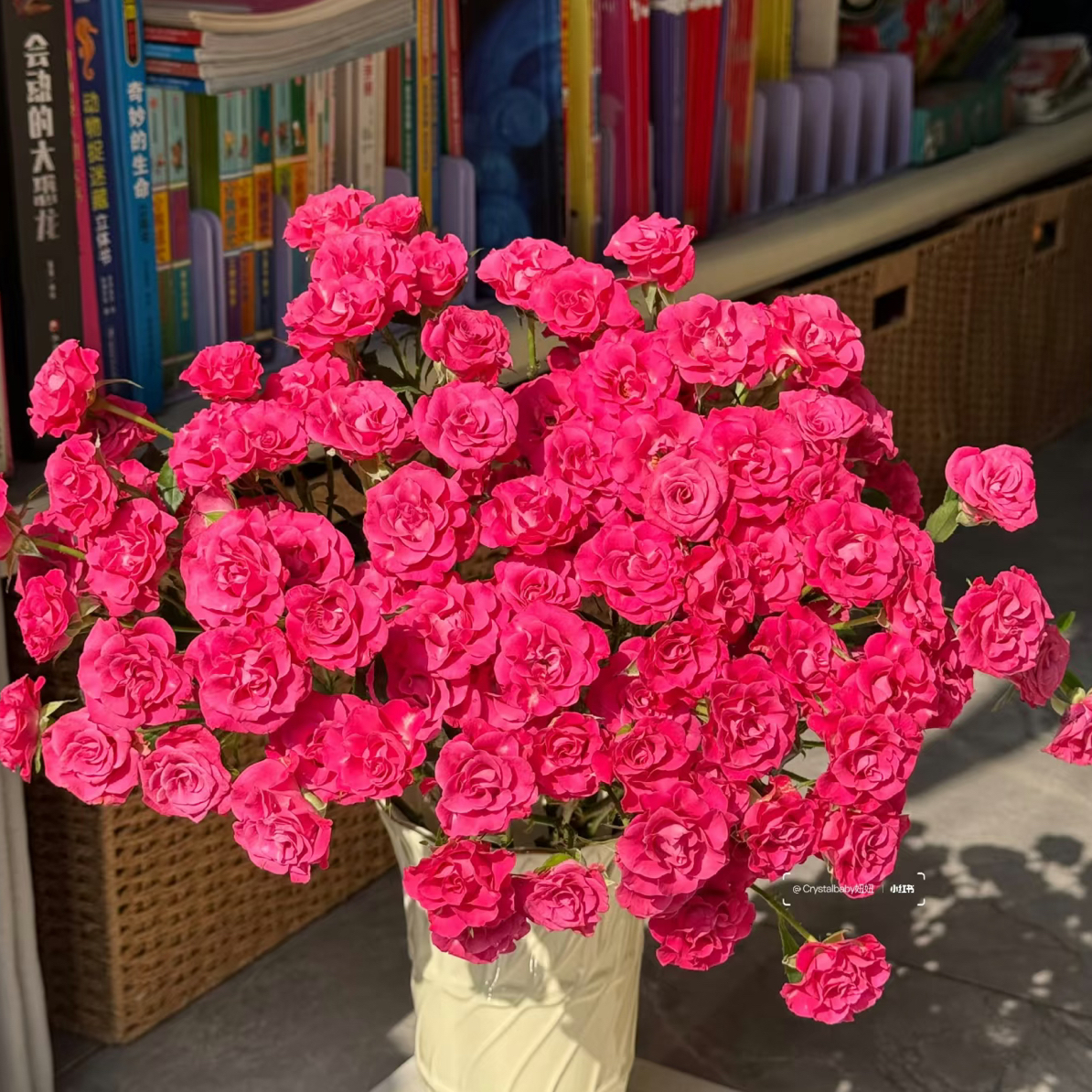 【鲜花批发】多头—稀有星河湾10只