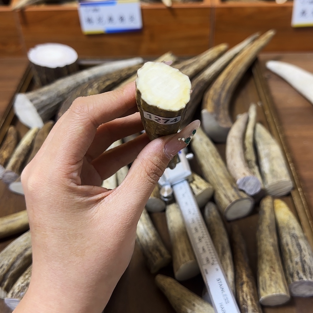 手串/手链鹿骨1274角尖