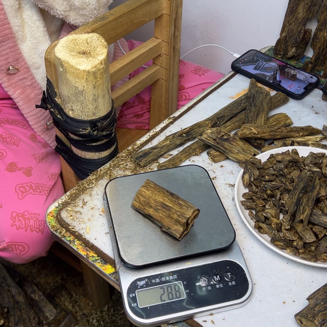 线香奇楠虫漏香28克