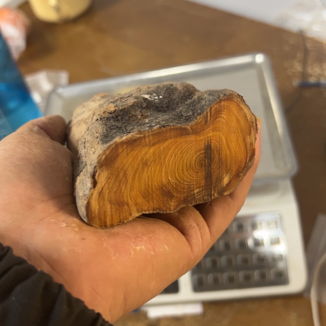 线香太行崖柏毛料