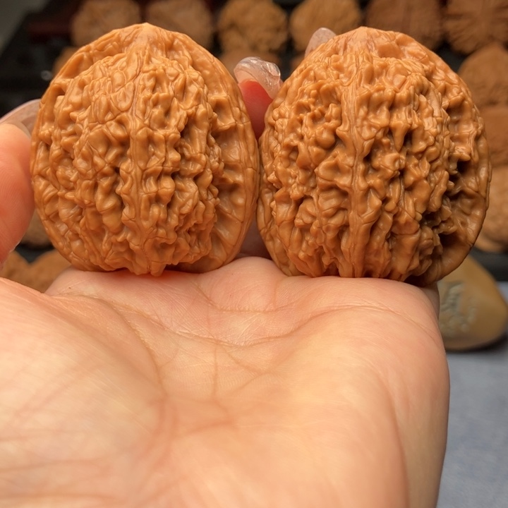 文玩核桃把件蚂蚁王40