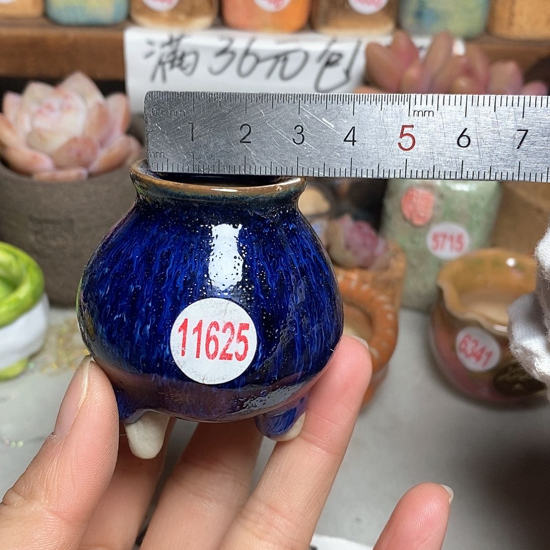 红陶拍5送一个小