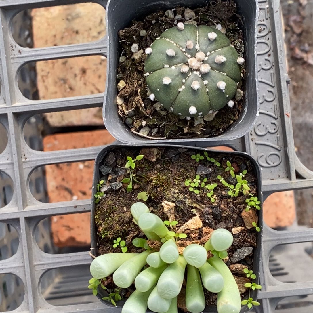 七***安111 满十元包邮非偏远