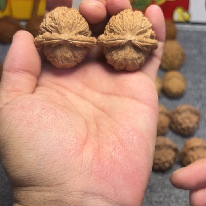 桃核把件40尺，白狮子