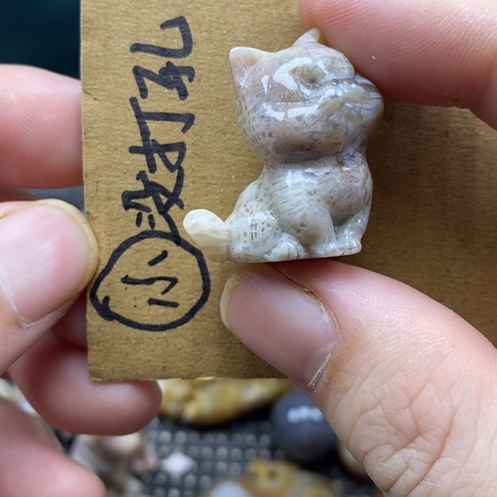 颈饰未镶嵌硅化珊瑚（珊瑚玉）