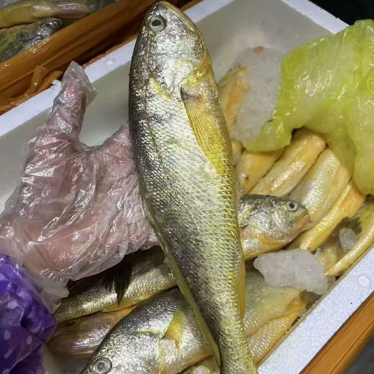 【正宗黄鱼3斤】台州东海野生大黄鱼 黄花鱼  1斤6-7条