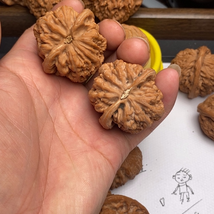 大粗筋41尺有水尖