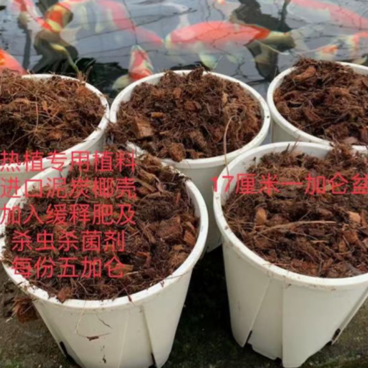 热植专用植料（每份五加仑）
