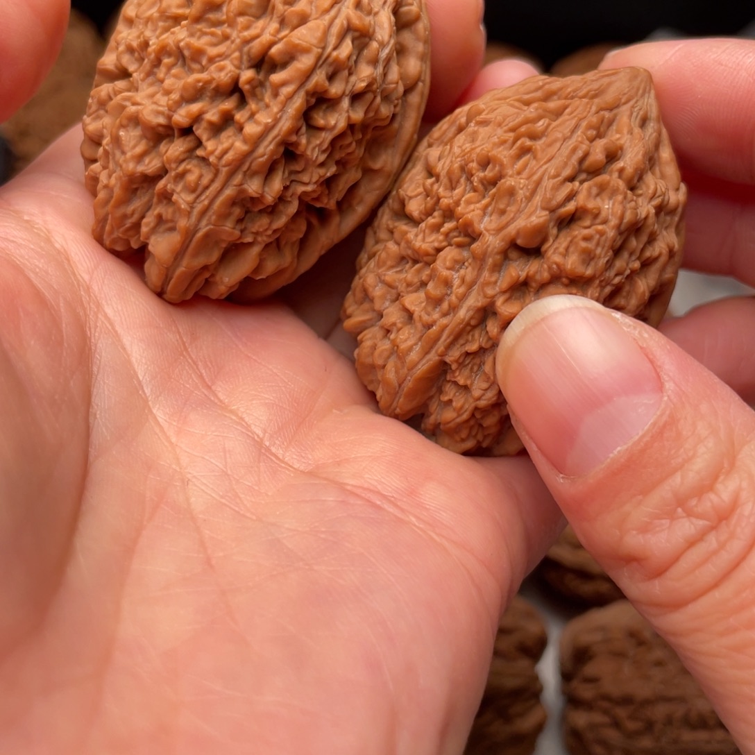 人***好木质类大蒜头高36尺