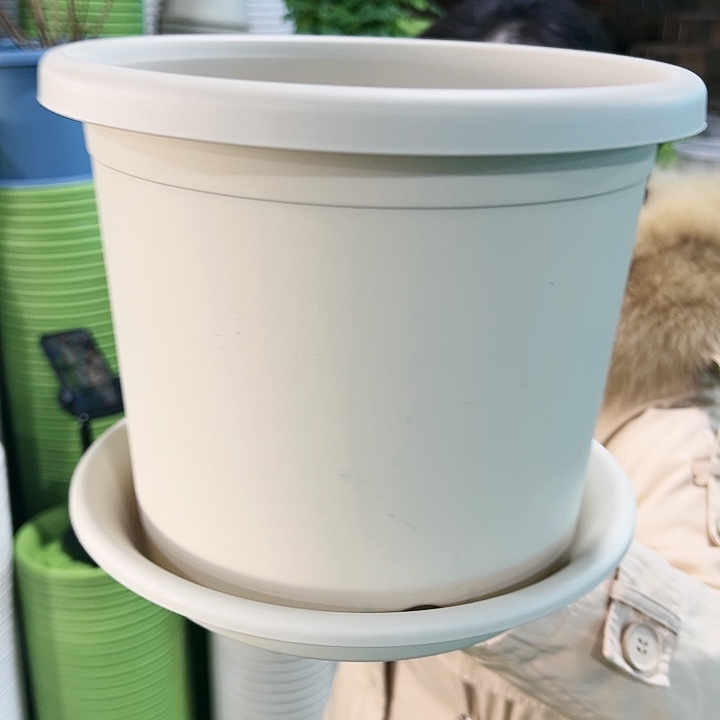 特价3号四季口21高18米色带托10只