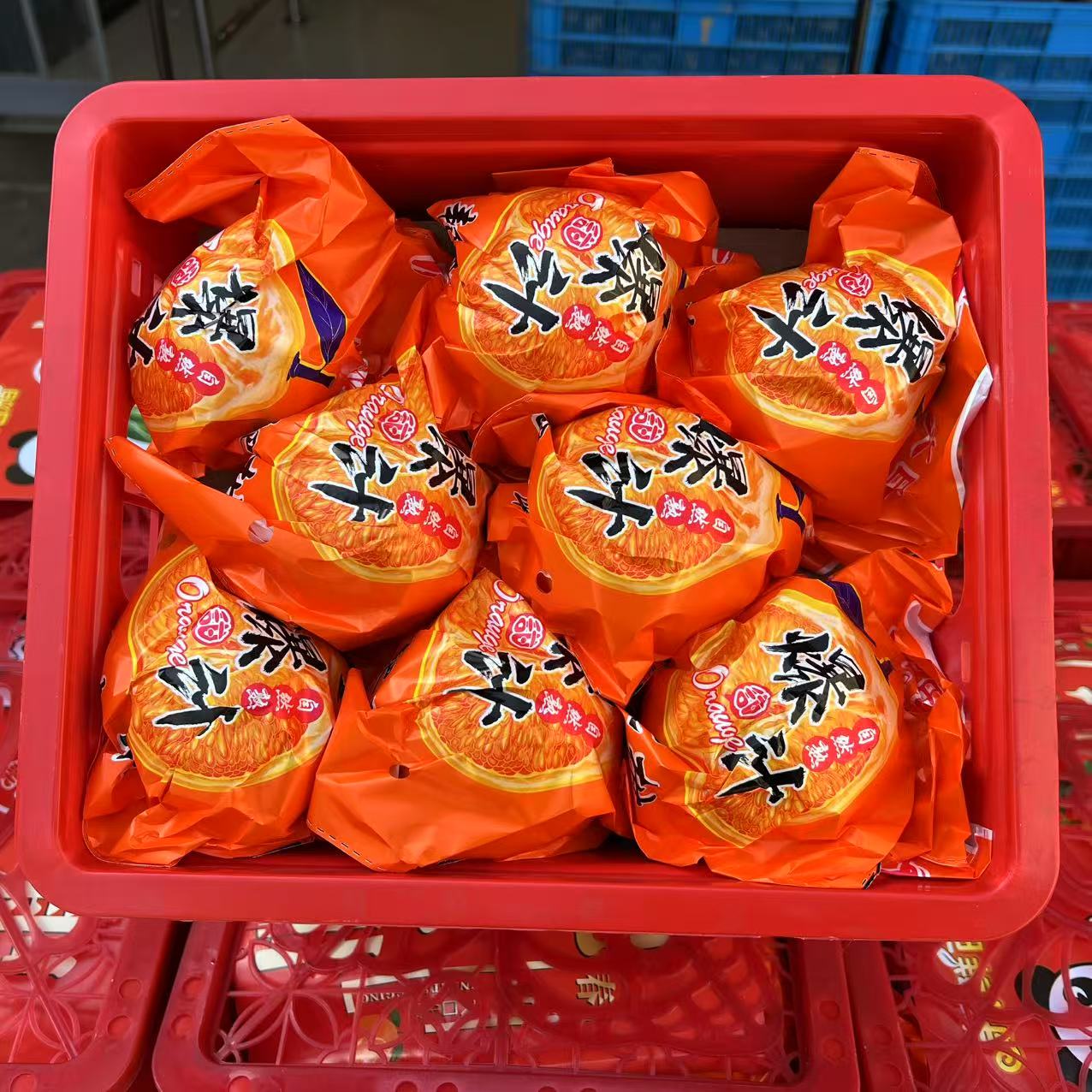 【小时达】小件耙耙柑2件8斤/小果